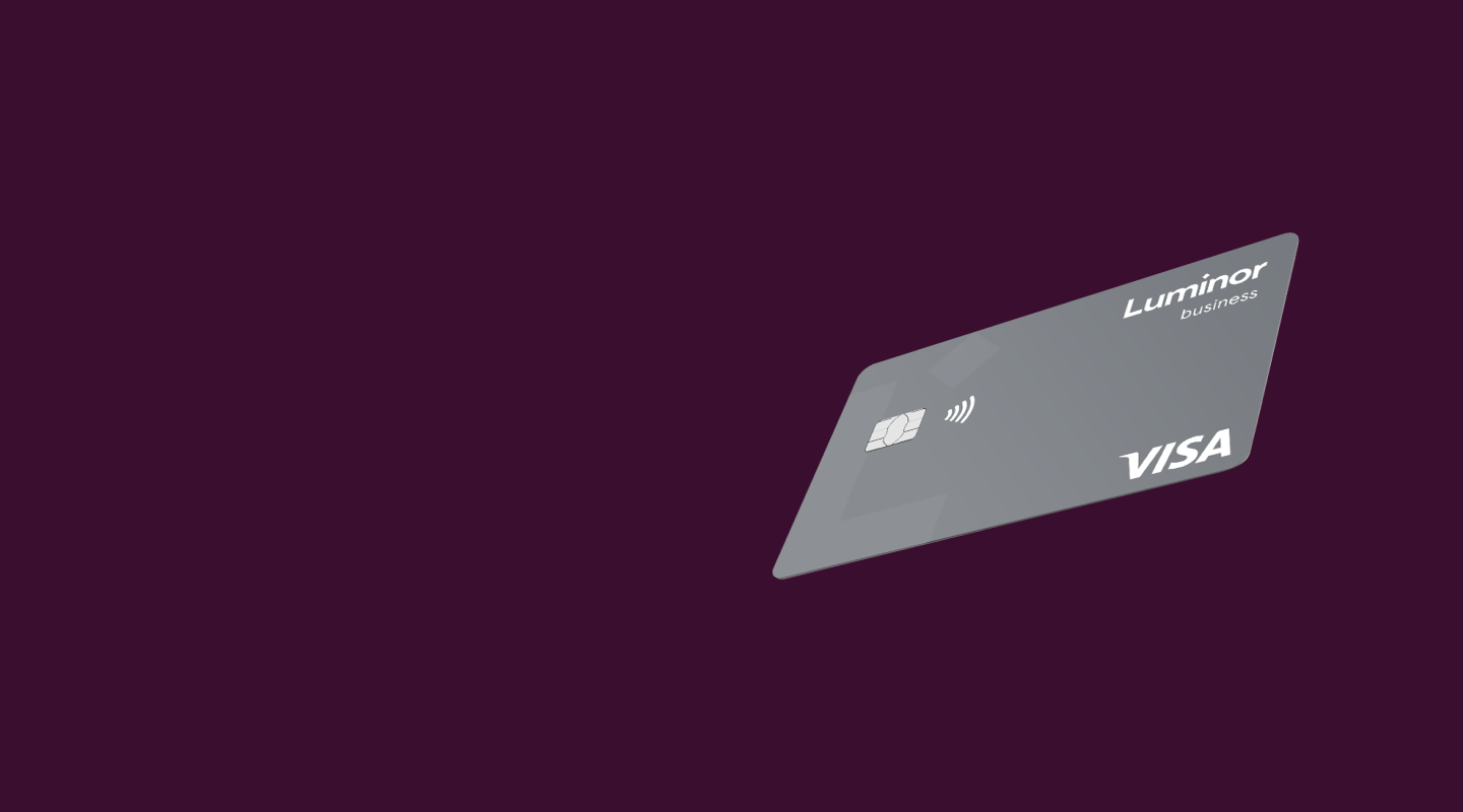 „Visa Business“ kredito kortelė